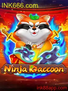 NinjaRaccoon